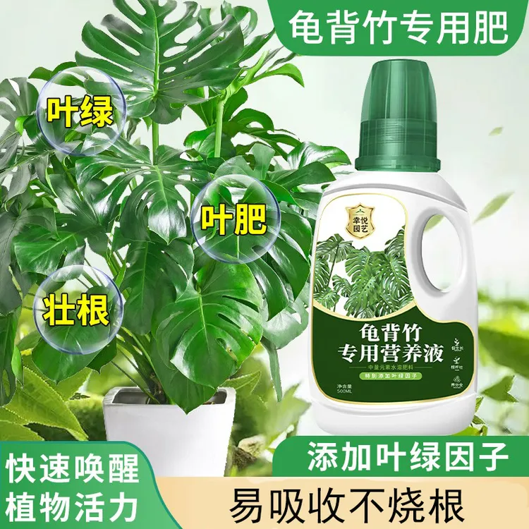 龟背竹营养液竹科浓缩水培土培盆栽专用卷叶烂根液体肥富含氮磷钾