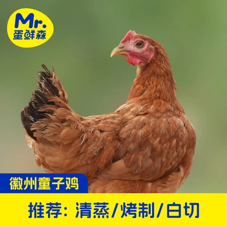 蛋鲜森徽州童子鸡三只装单只800克谷饲喂养真空净膛