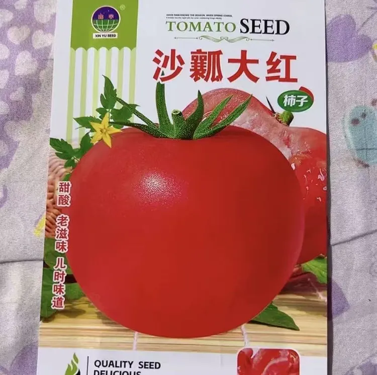 【老品种大粉西红柿种子】毛粉柿子四季夏季春季简单菜籽红色种子