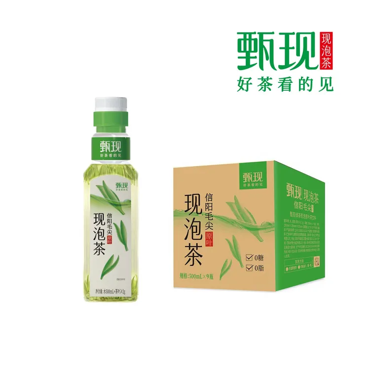 甄现现泡茶（现泡信阳毛尖）500ml*9瓶 0糖0脂原叶无糖冷水现泡茶