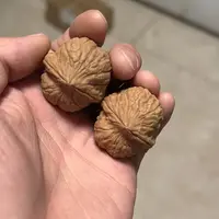 龟甲纹核桃一对32mm左右