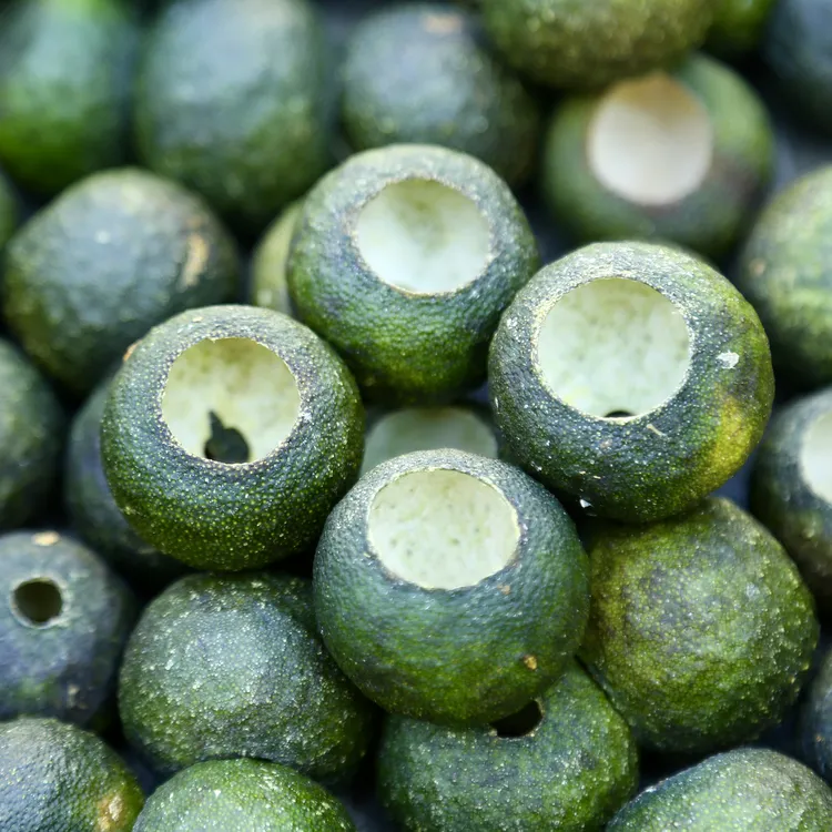 【2025天禄原枝小青柑果壳】新会陈皮自家果园自然生晒