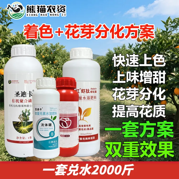【着色+花芽分化方案】柑橘增糖着色花芽分化花整齐饱满流体硼