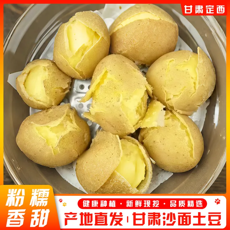 新鲜现挖土豆批发甘肃定西黄皮番茄黄心沙面土豆洋芋马铃薯炖肉