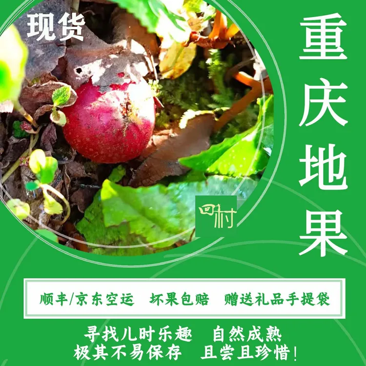 重庆地果果子顺丰京东空运包邮2025新鲜水果地石榴满地香野地瓜果