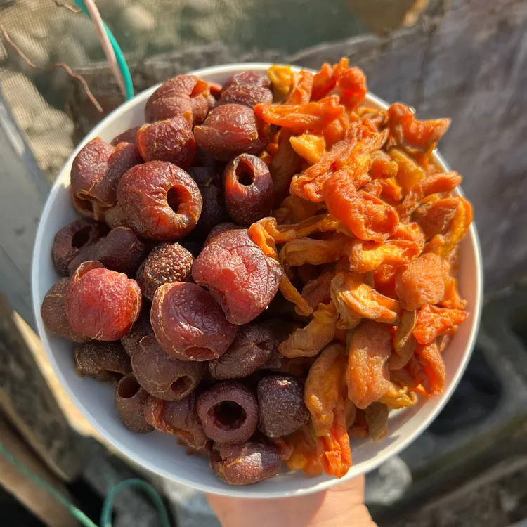 【杏干空心山楂组合】8酸杏干6酸山楂肉脯无核水果干孕期解馋零食