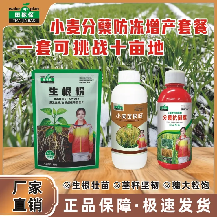 田稼保【小麦一遍10亩地】田稼保小麦分蘖防冻增产方案叶面套餐
