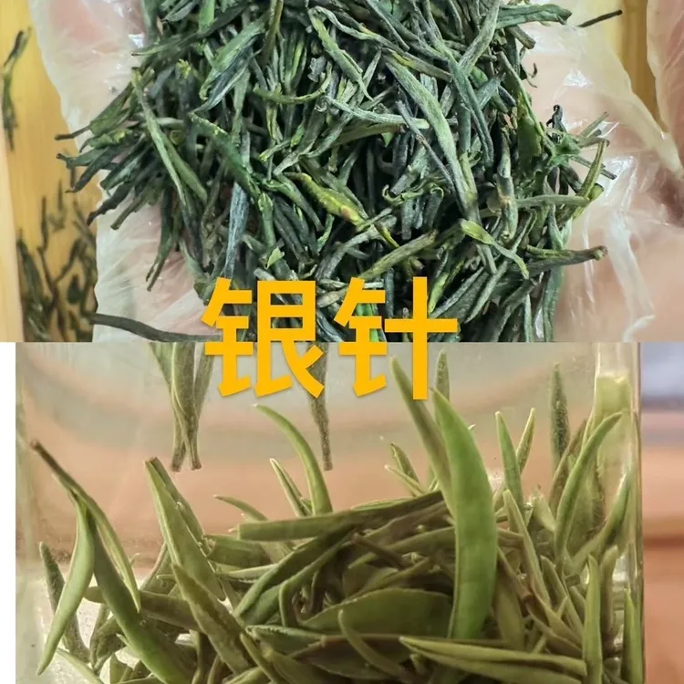 《1》中秋茶礼特级日照绿茶 银针 豌豆鲜 滋味足 礼品茶高端大气