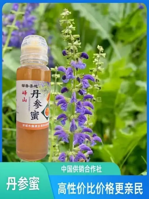 邹鲁圣地丹参蜜（一年只采一季）