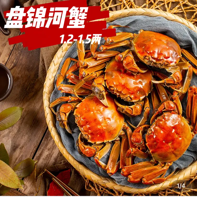 全母【活蟹】盘锦河蟹1.2-1.5两2.5斤冷链直达