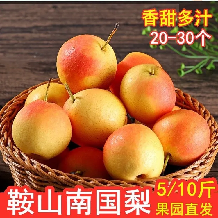 【辽宁特产】正宗鞍山老树南果梨九龙湖产地直发
