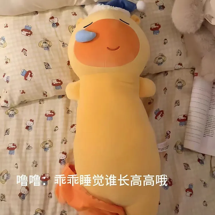 打呼水豚噜噜毛绒玩偶睡觉夹腿抱枕送女友闺蜜礼物