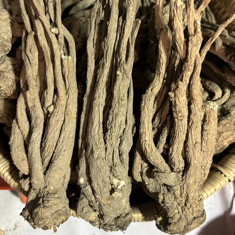 岷县当归原条大条《去须》无硫煲汤炖肉原产地直发
