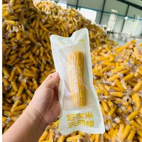 2025年头茬玉米标准个儿东北真空包装鲜食甜苞米香糯鲜糯甜