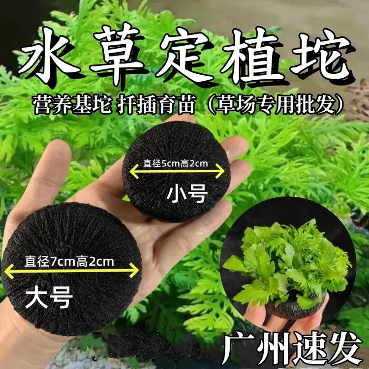 鱼缸水草定植坨基植物育苗营养土移扦插DIY制作造景沉底座坨草泥
