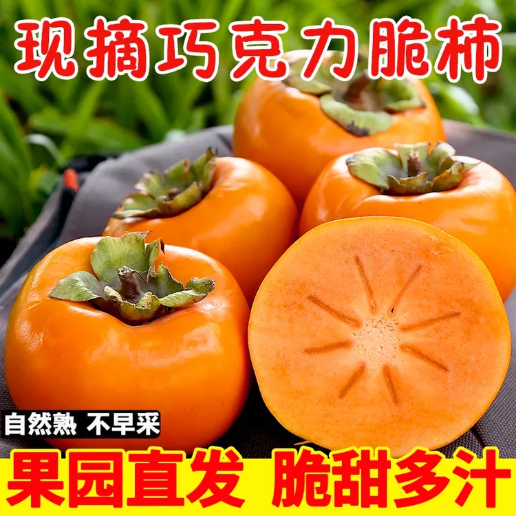 【冰糖心巧克力脆柿】陕西新鲜应季脆甜柿子产地直发口感脆甜多汁