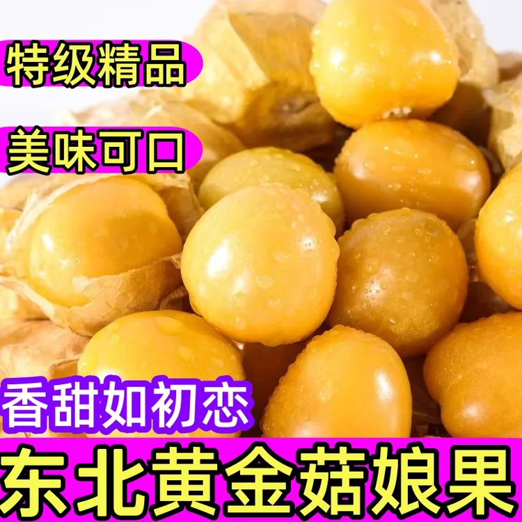 东北姑娘果新鲜大果特产水果甜菇娘果灯笼果金豆子黄金豆