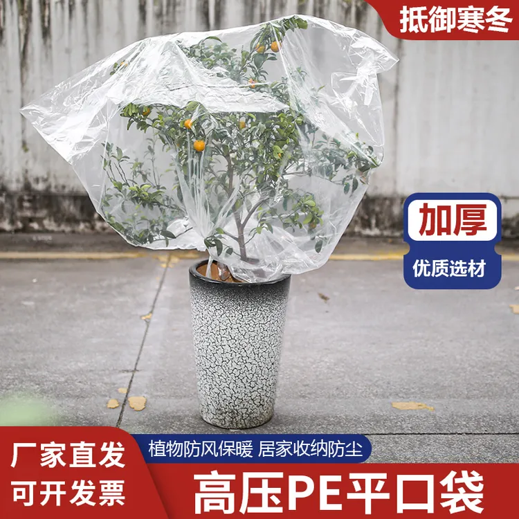 盆栽植物树苗防冻套袋透明防寒罩保护罩嫁接套树苗塑料袋保暖袋子