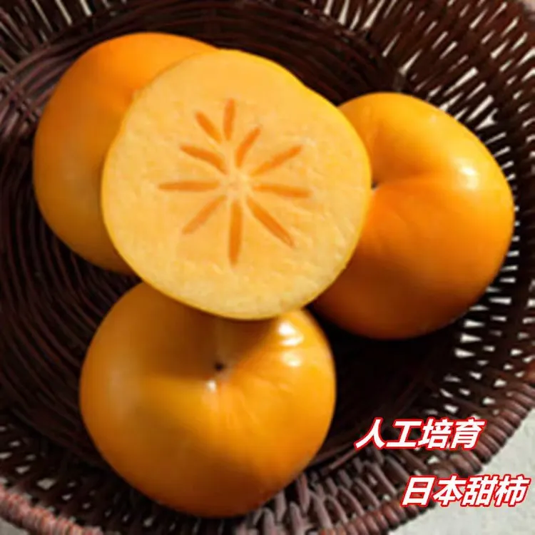 新鲜大果柿子牛心现摘甜脆不涩口水果脆柿罗田錾字石罗田甜柿无籽