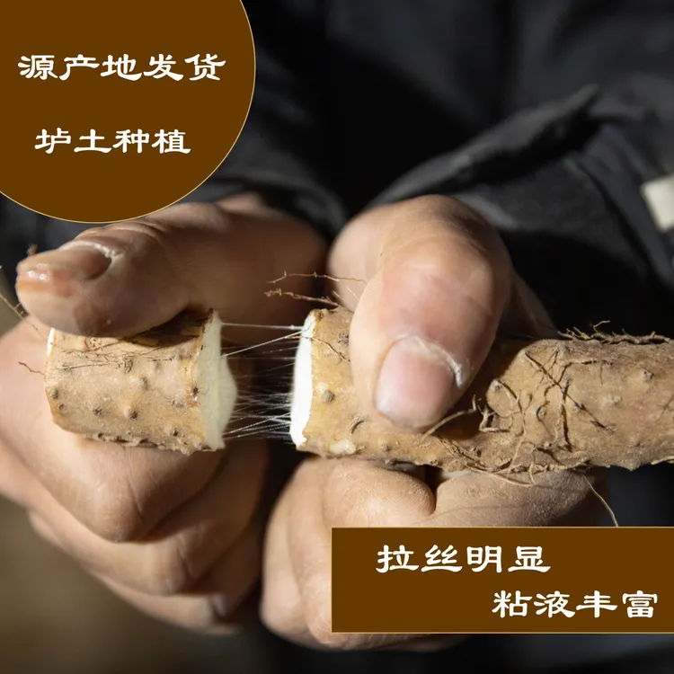 温县原产地铁棍山药怀山药垆土地新鲜农产品3斤-5斤净重