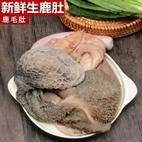 【波驴他爹】鹿肚现场改价新鲜鹿肚 火锅涮肚 炒辣椒