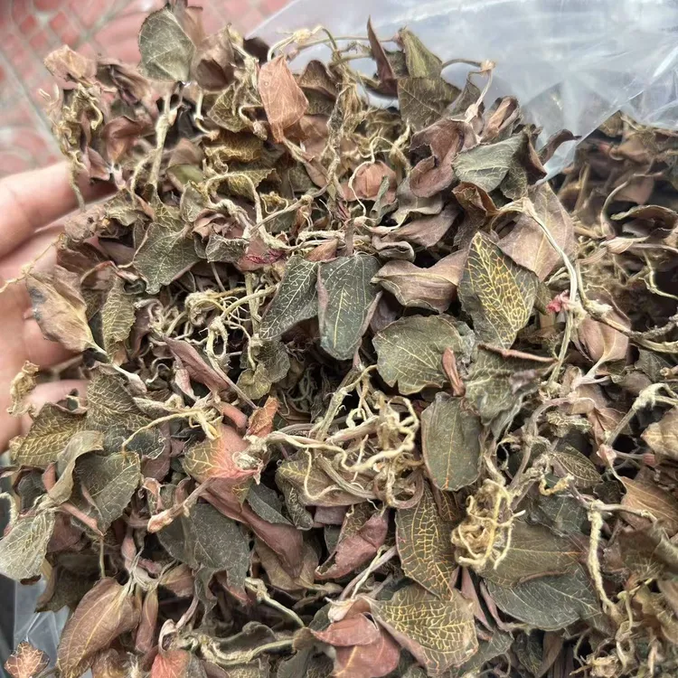 佛冈时时好运农产品种植金线莲500克根叶混合干品