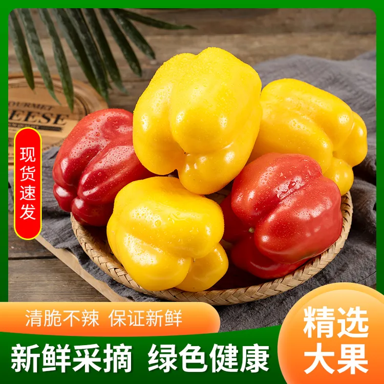 【顺丰包邮】山东红黄双色彩椒生吃微甜不辣1/5斤新鲜红黄椒水果椒