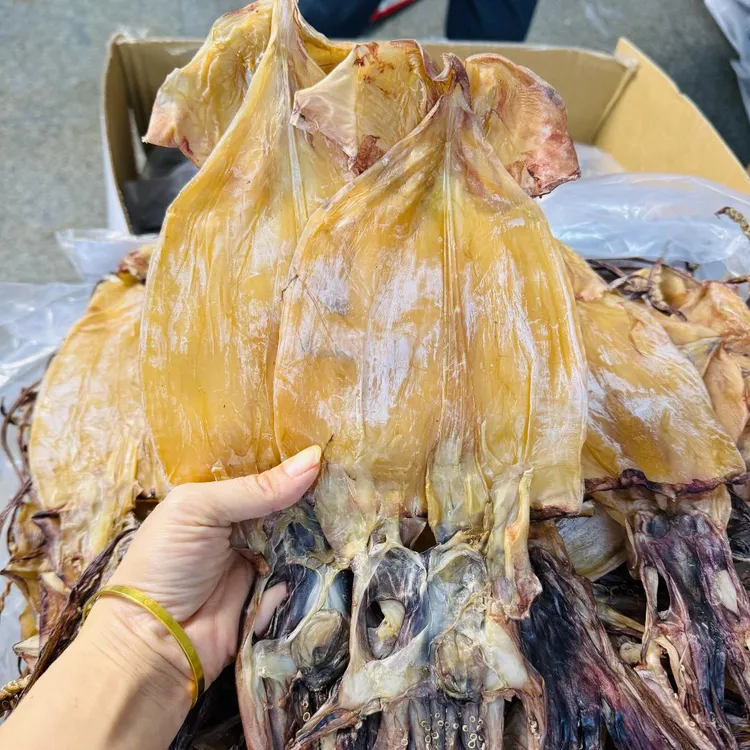 炒菜鱿鱼干干鱿鱼淡干大号深海鱿鱼干食品500G炒菜海鲜大鱿鱼干货