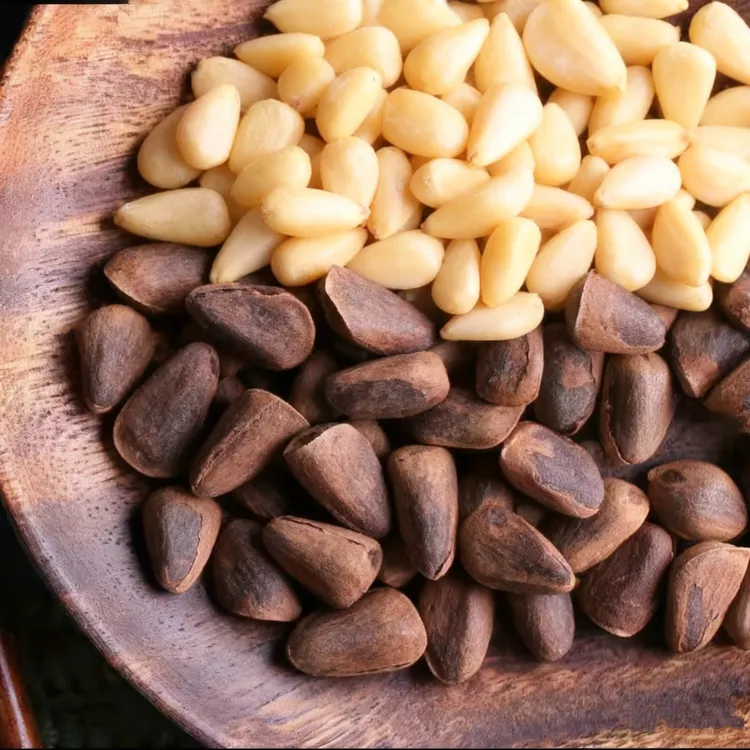 中大颗粒新货笨炒原味东北开口松子新鲜坚果