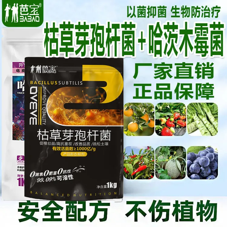 1000亿每克有益活菌枯草芽孢杆菌防治土传根部抗重茬生根闪溶
