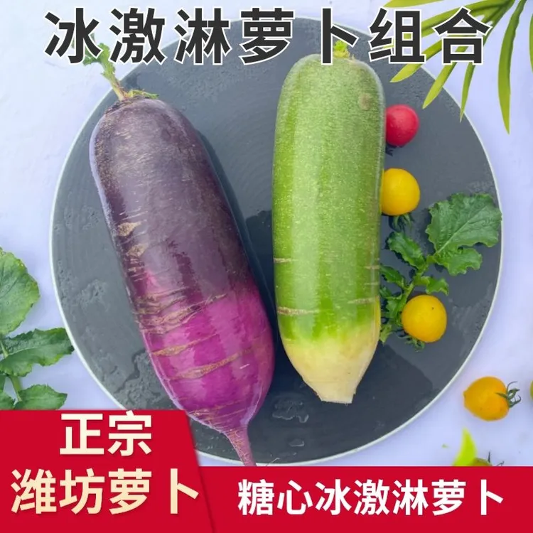 山东潍坊冰激凌萝卜加正宗水果萝卜青萝卜双拼组合净重5斤包邮