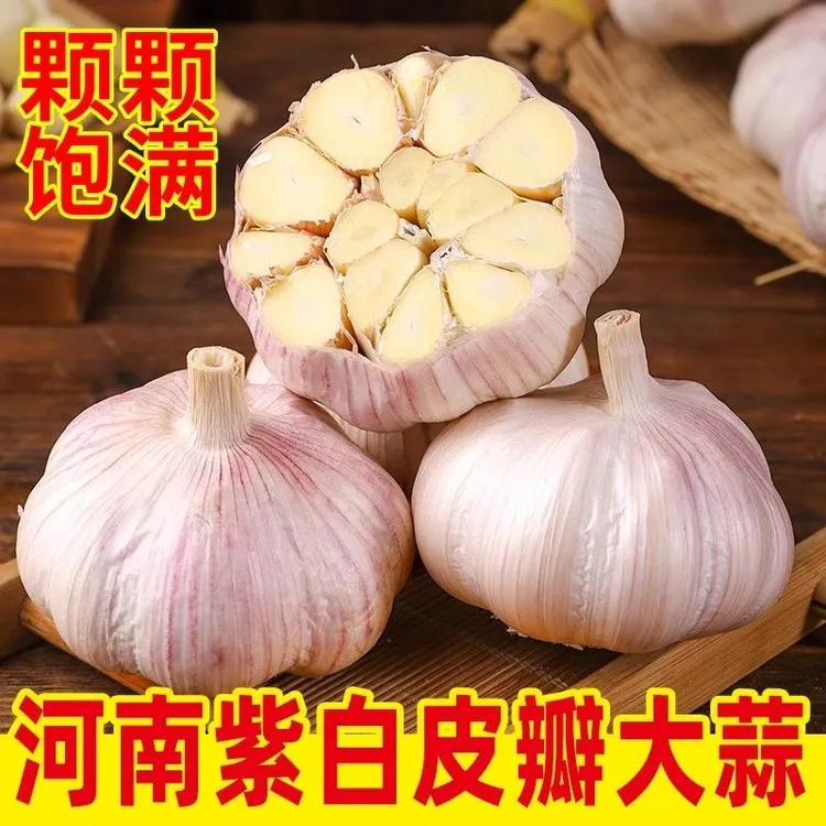【农家好】农家自种紫白皮干蒜辛辣提香植新鲜大蒜头