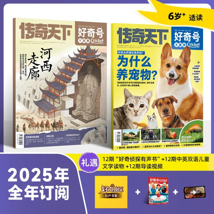2025年起订 杂志好奇号杂志期刊（每期2本+双语读物1本共36本）