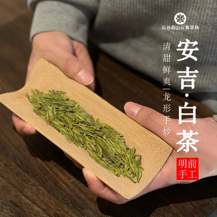 发烧茶友-白龙王-纯手工头采安吉白-甘醇爽口-有试喝装拆封不可退