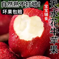 正宗甘肃天水花牛苹果水果新鲜应当季整箱包邮红蛇大平安果粉面甜
