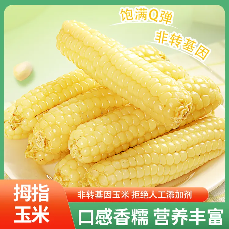 西双版纳拇指玉米婴幼儿香糯嫩甜新鲜宝宝小玉米代餐真空早餐零食