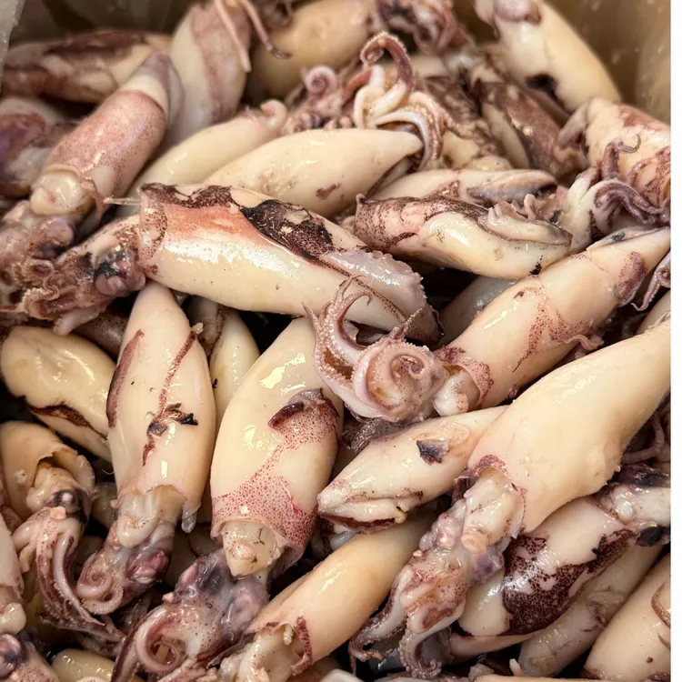 今年新货 乌子5斤/箱（非干乌子有水分无籽咸需水泡）