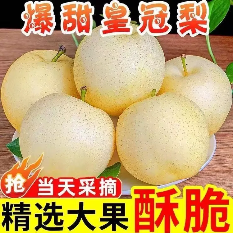 黄河故道2025年头茬皇冠新鲜水果皮薄多汁脆甜酥无渣博望黄金梨