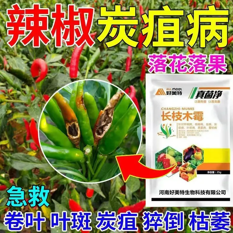 辣椒炭疽病专用肥料辣椒炭疽烂果软腐病根腐病脐腐烂尖烂果花皮用