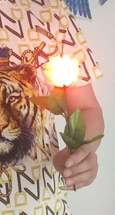 新款神奇玫瑰花魔术绢花