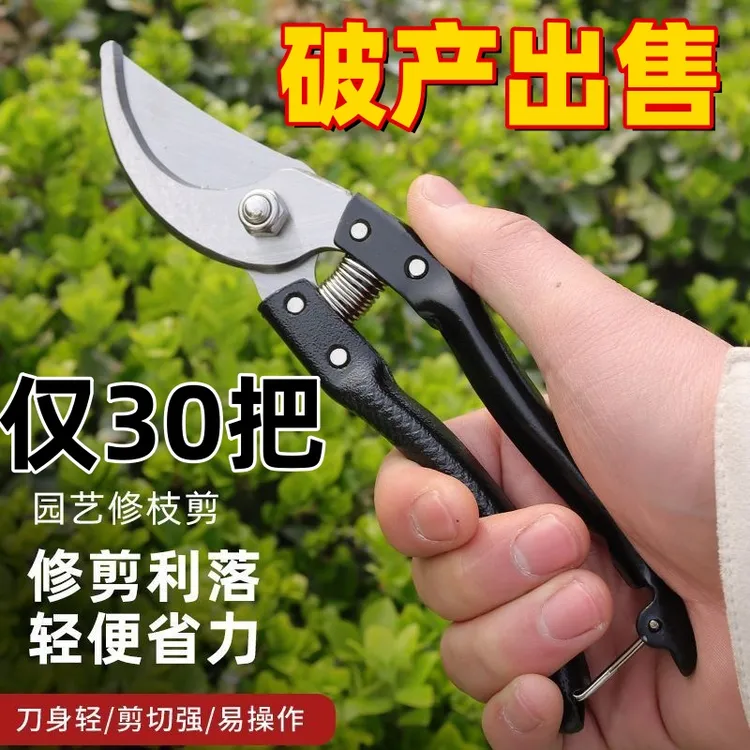 【德国SK5强力园艺剪】不锈钢省力修枝果树粗枝园艺剪刀