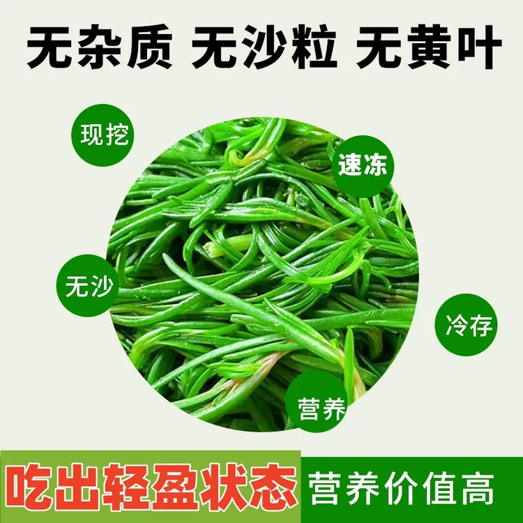 速冻黄须菜新鲜现挖营养丰富口感鲜嫩自然生长凉拌蒸菜水饺包子