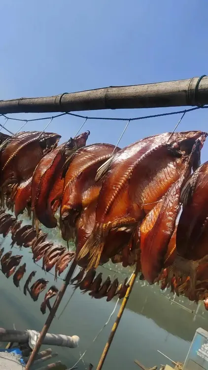 三月家酱扁鱼手工腌制