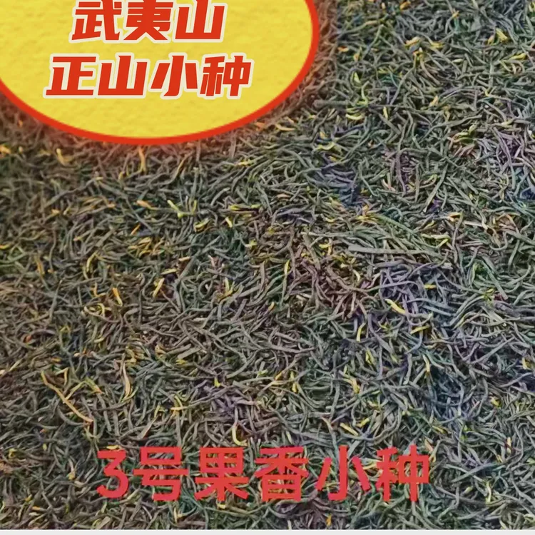 武夷山正山小种茶叶2025新茶特级浓香型花果香小种