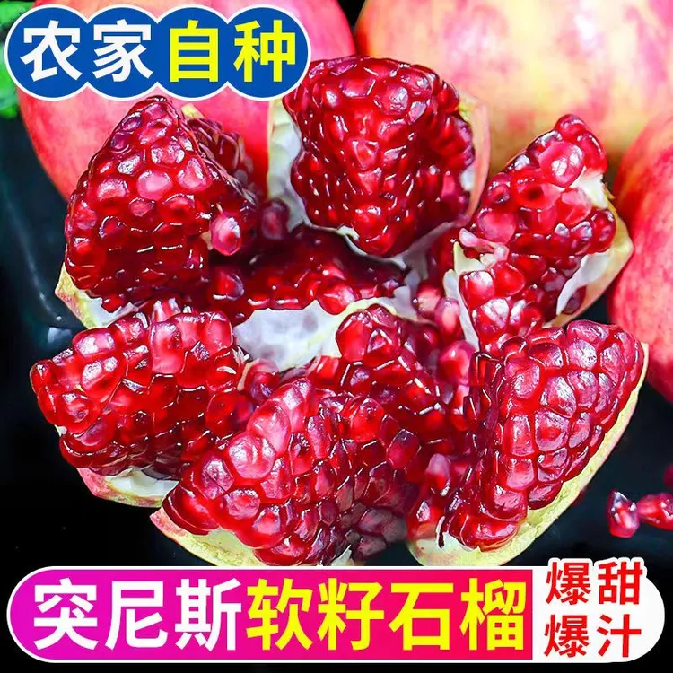 【源产地直发】四川会理突尼斯软籽石榴 4.5-5斤现摘现发
