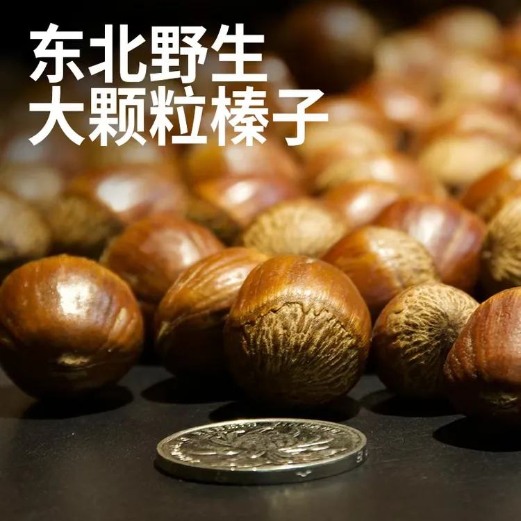 东北炒熟大果榛子500g 不开口薄皮仁满香甜