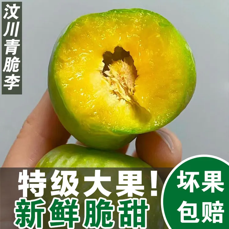 四川汶川青脆李现摘空心脱骨茂县脆李子新鲜脆甜水果5斤装包邮