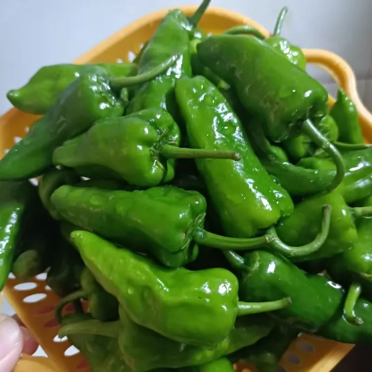 余干辣椒苗新鲜特辣薄皮青椒爆辣农家自种小辣椒