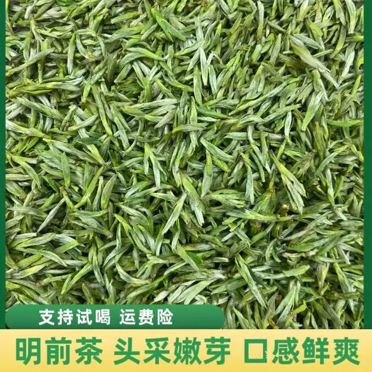 众客 2025新茶 安徽高山茶春茶毛峰头采鲜爽回甘兰花香 HF 368