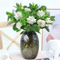 【大肚瓶水培栀子花】绿植盆栽浓香型室内客厅阳台好养耐寒四季常青
